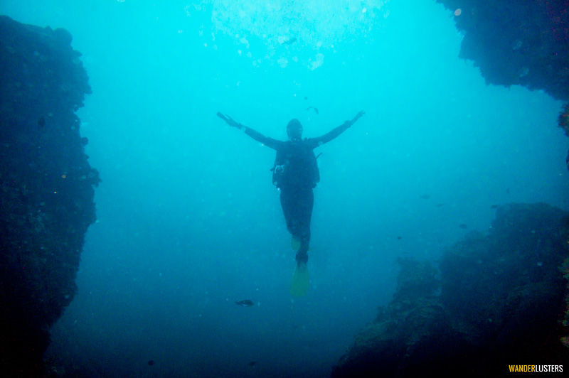 Underwater Photo Essay: The Poor Knights Islands, New Zealand - Art of