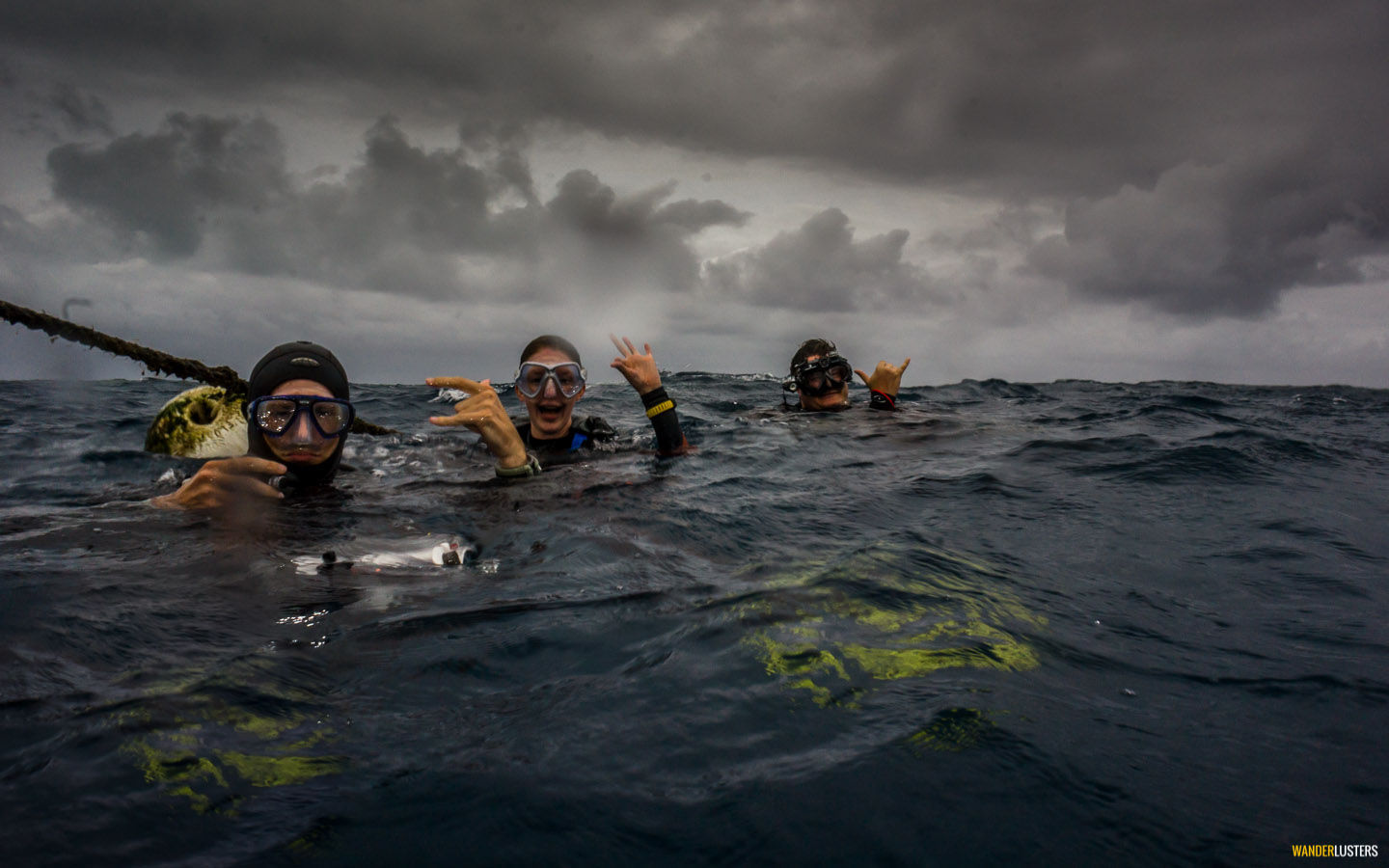 diving great barrier reef