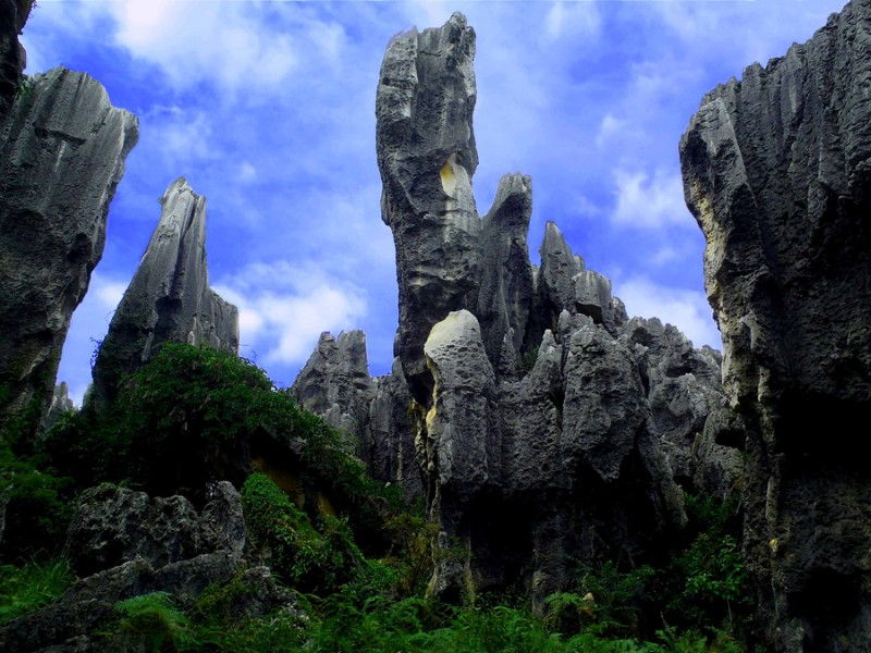Travel Photo Roulette Stone Forest Yunnan Province China