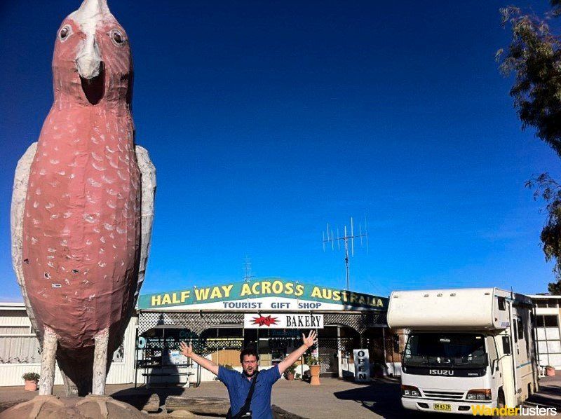 Australi's Big Things Galah Wanderlusters