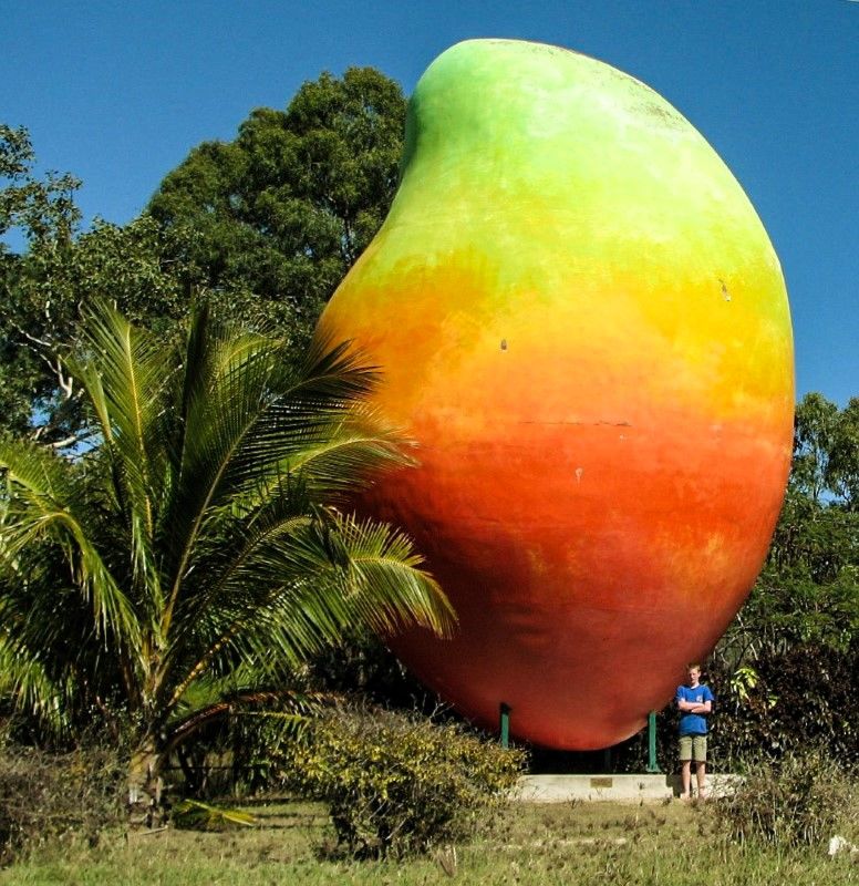 Australia's Big Things Bowen Mango Wanderlusters