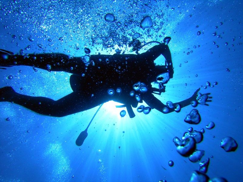 padi-divemaster-training