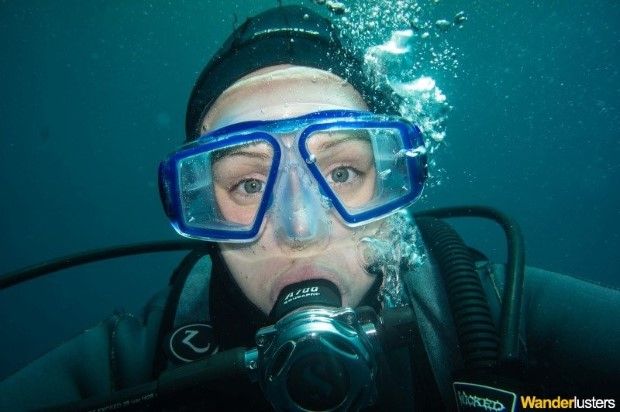 Confessions of a Divemaster 