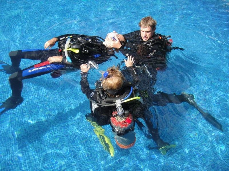 PADI Divemaster Training Guide