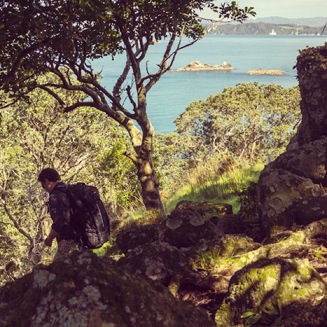 instagram-snapshots-of-the-coromandel-coastline-track