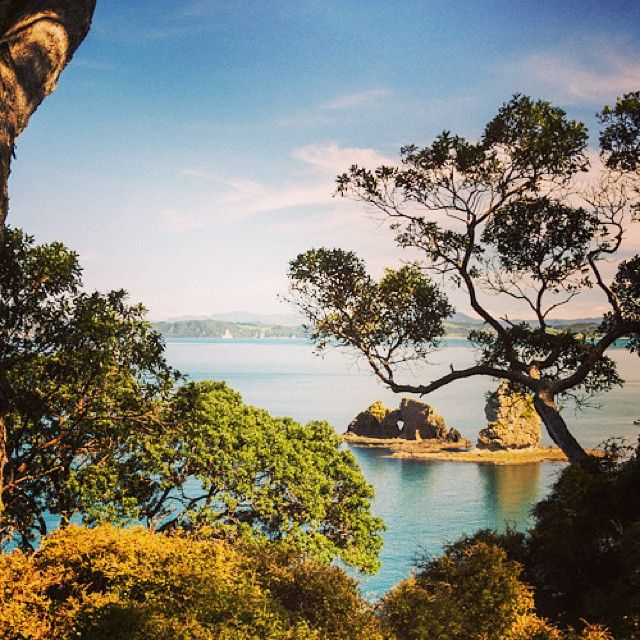 instagram-snapshots-of-the-coromandel-coastline-view-whitianga