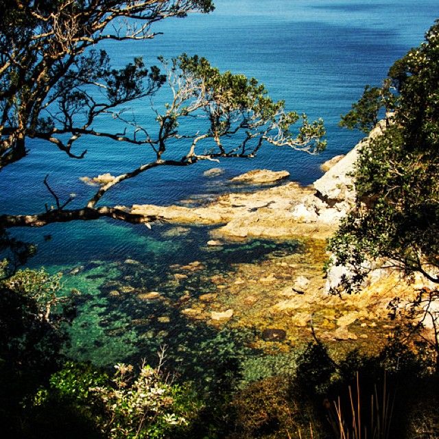 instagram-snapshots-of-the-coromandel-matapaua-coastline