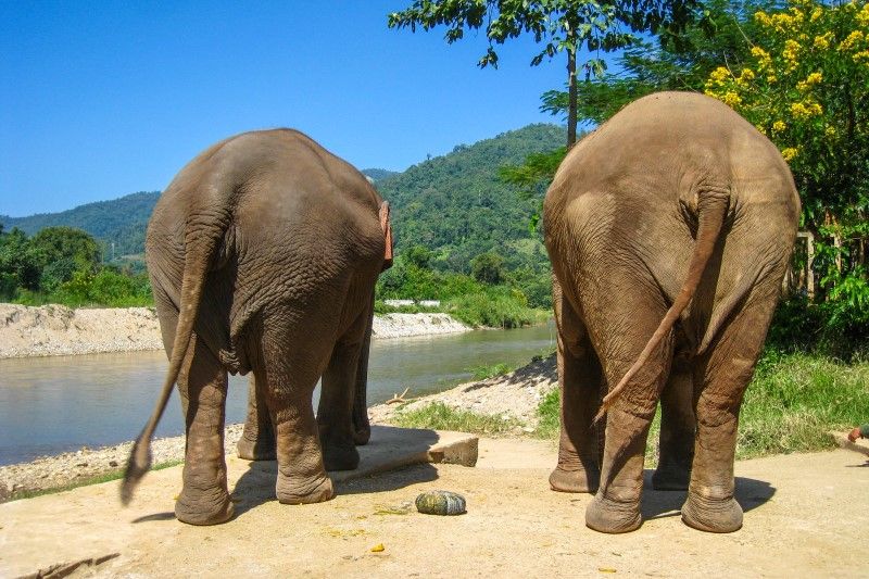 spotlight on ethical tourism in thailand