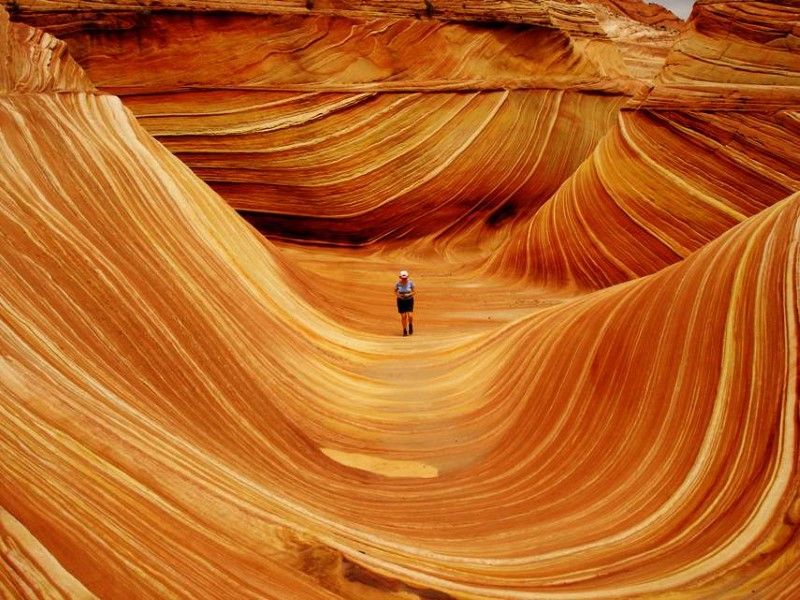 wave_tourist-inspiring-natural-design