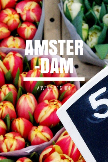 amsterdam-activity-guide