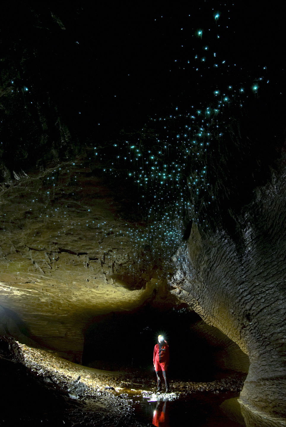 underworld-adventure-in-te-ananui-landscape-glo-worm