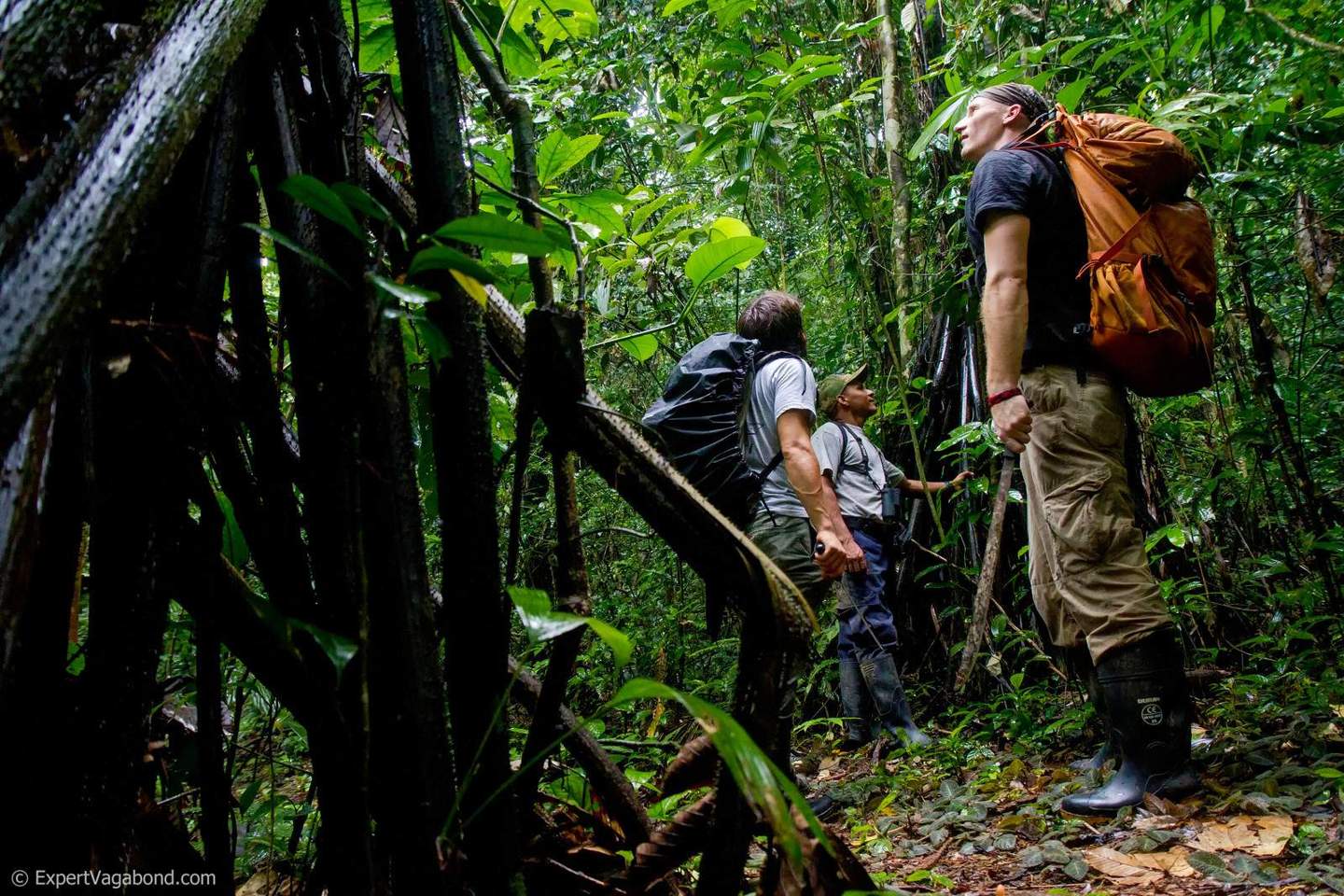 Hiking the Darien Gap via Expert Vagabond 