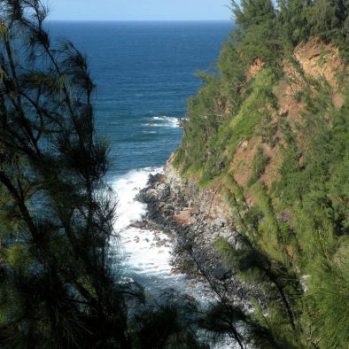 cane-road-molokai