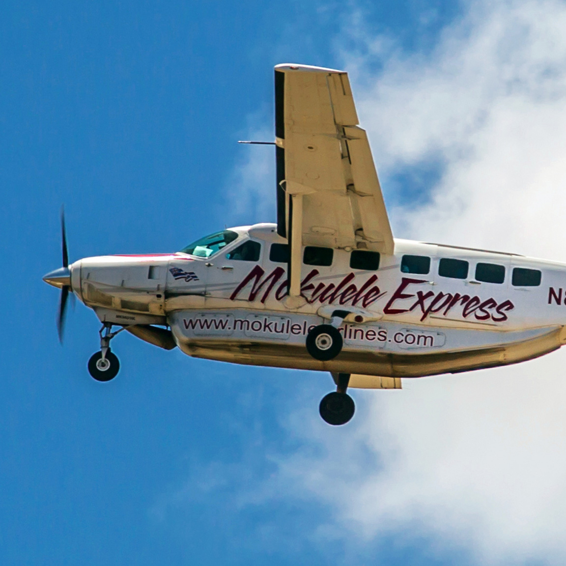 Discovering The Lost Island Of Molokai