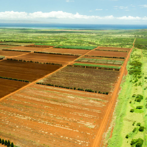 molokai-rural-aerial-800