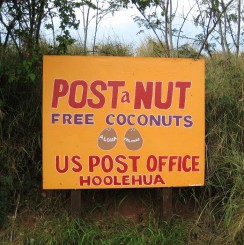 post-a-nut-molokai