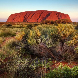 uluru-sunrise-red