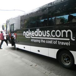 新西兰长途公共汽车 naked bus-看新西兰