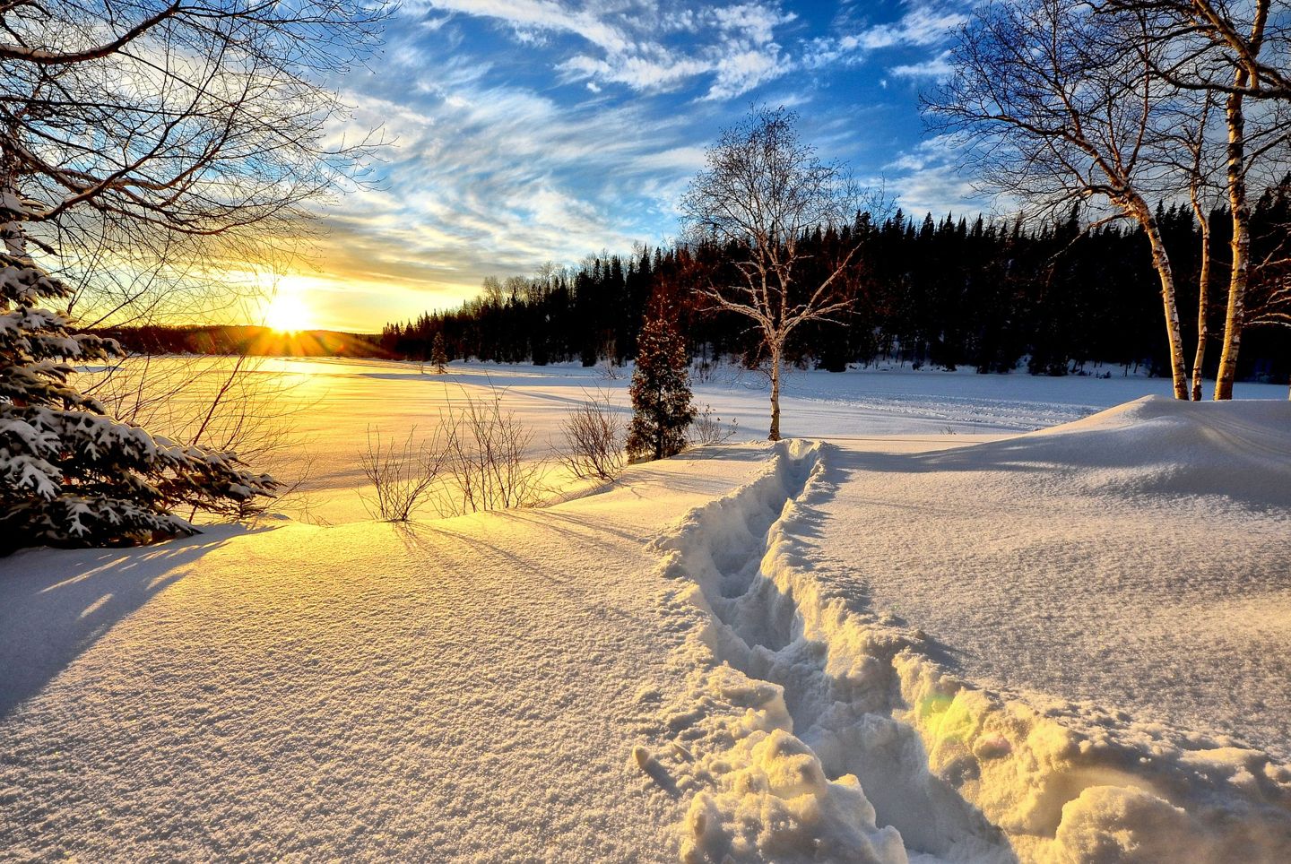 winter-landscape