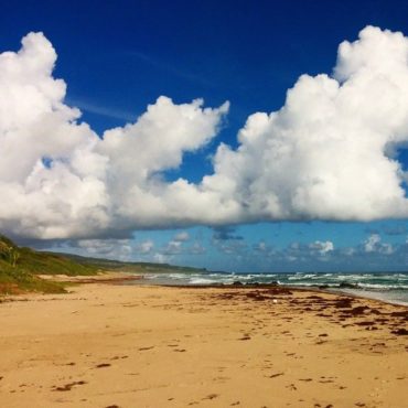 beach-barbados-east
