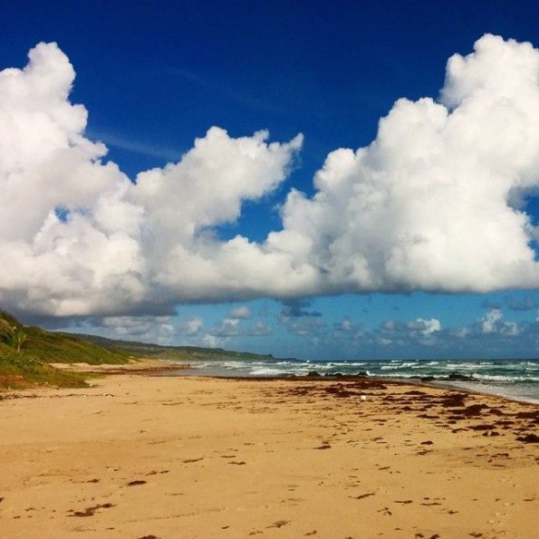beach-barbados-east
