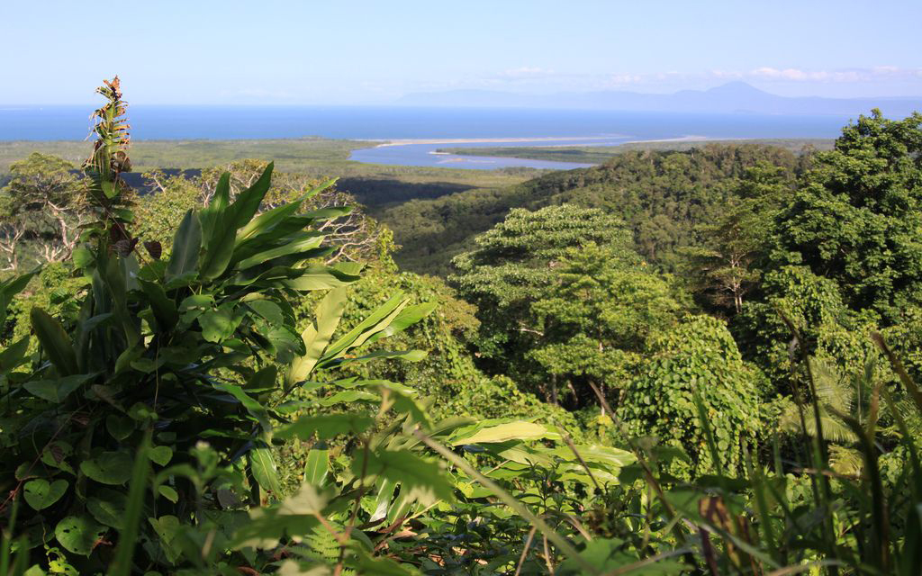 cape-tribulation