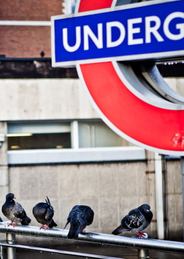 tube-station-_dchris
