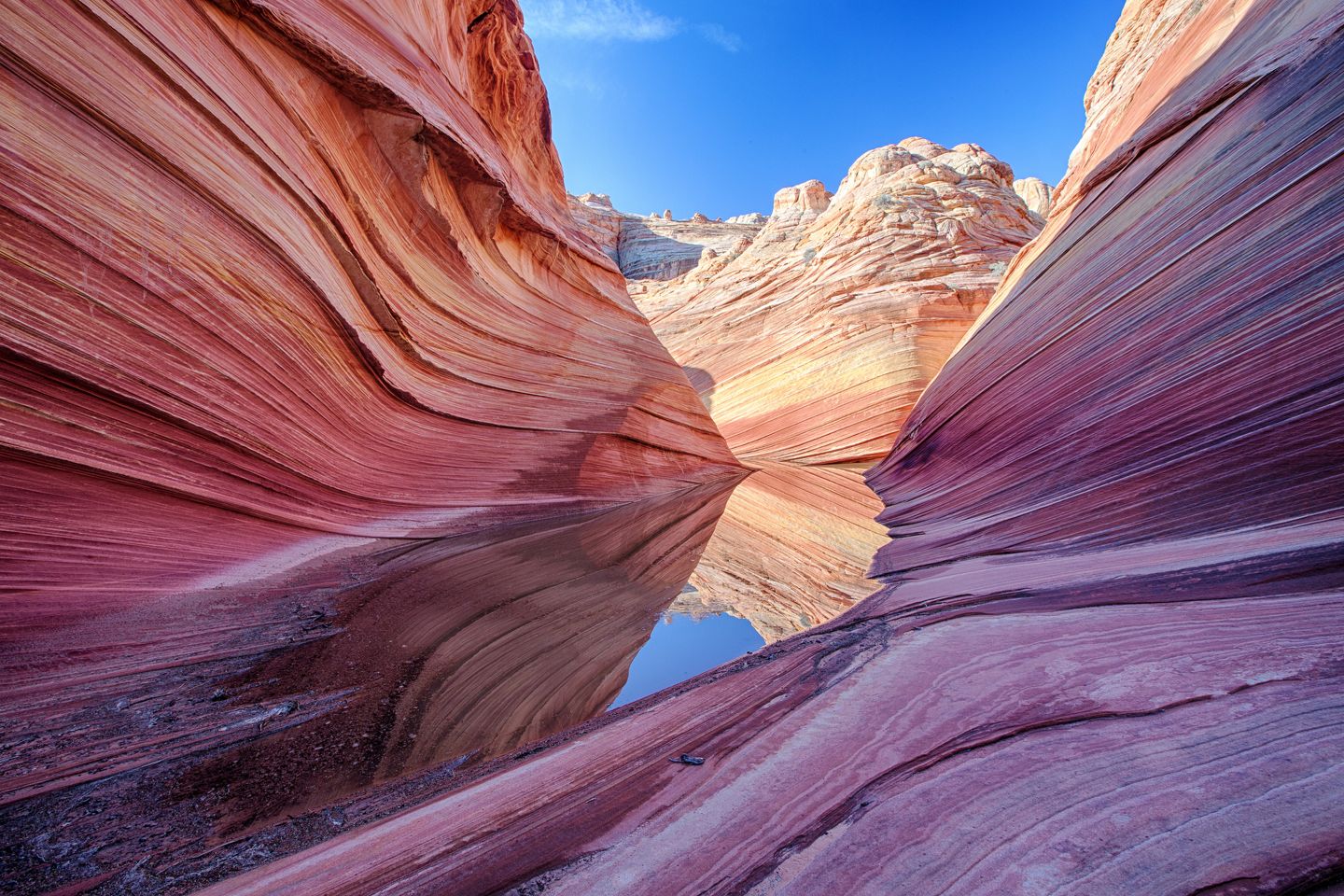 Source Bureau of Land Management 