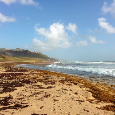 bathsheba-barbados