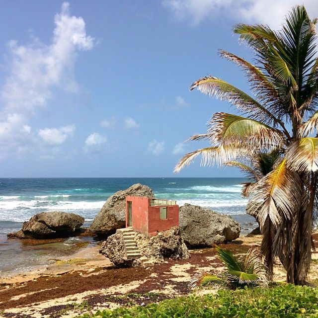 insiders guide to visiting Barbados