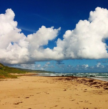 beach-barbados-east