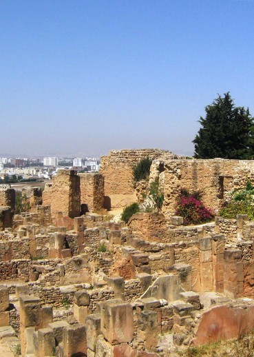 carthage-sarah-tzinieris