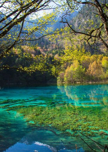 five-flower-lake-spring-jean-marie-hullot