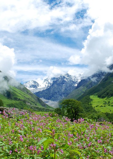 valley-of-flowers-india-alosh-bennett