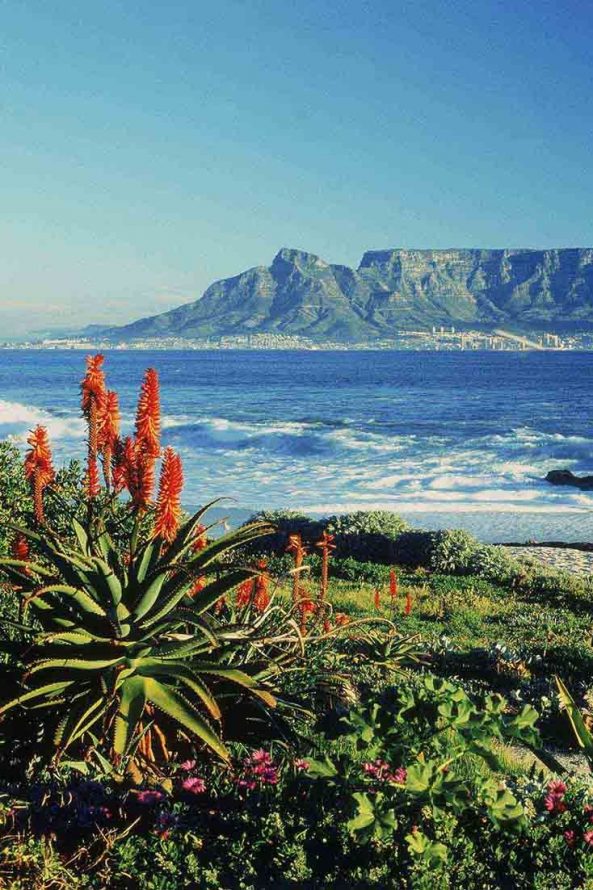 table-mountain-south-africa