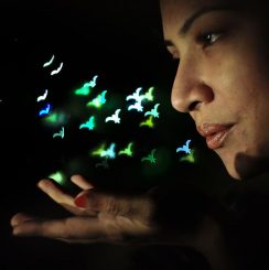 cc-flickr-roni-mmin