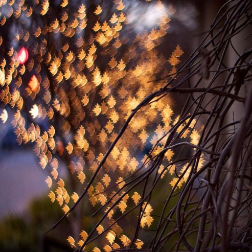 cc-flickr-yogesh-mhatre