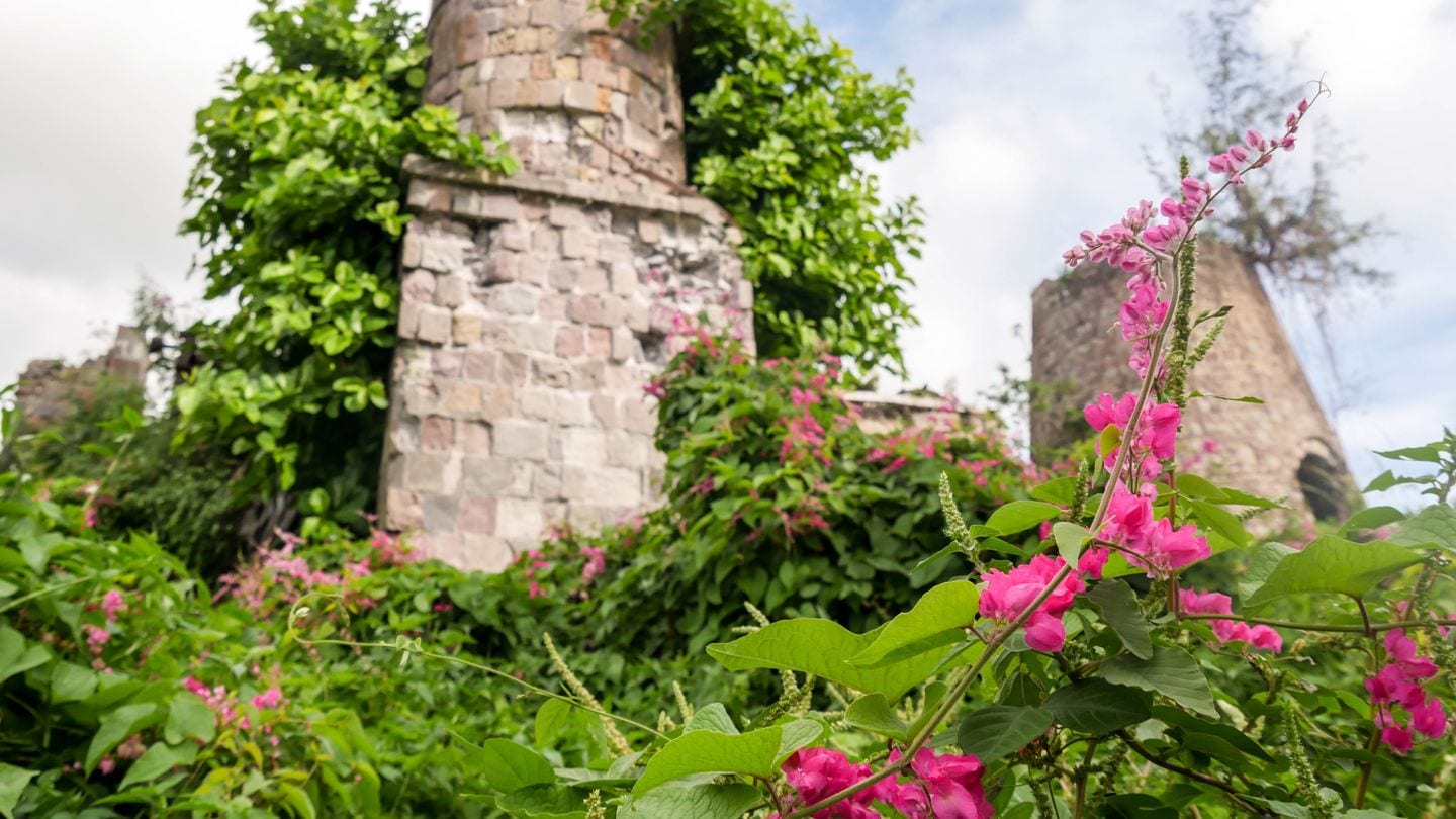 Guide To Nevis - Hamilton Estate Sugar Mill Ruins