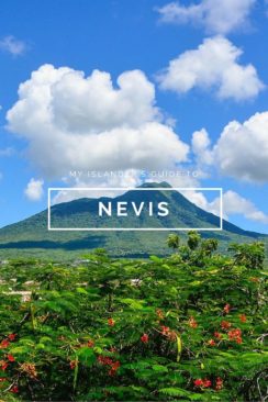 nevis-guide