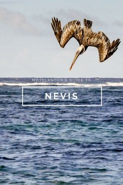 nevis-island-guide