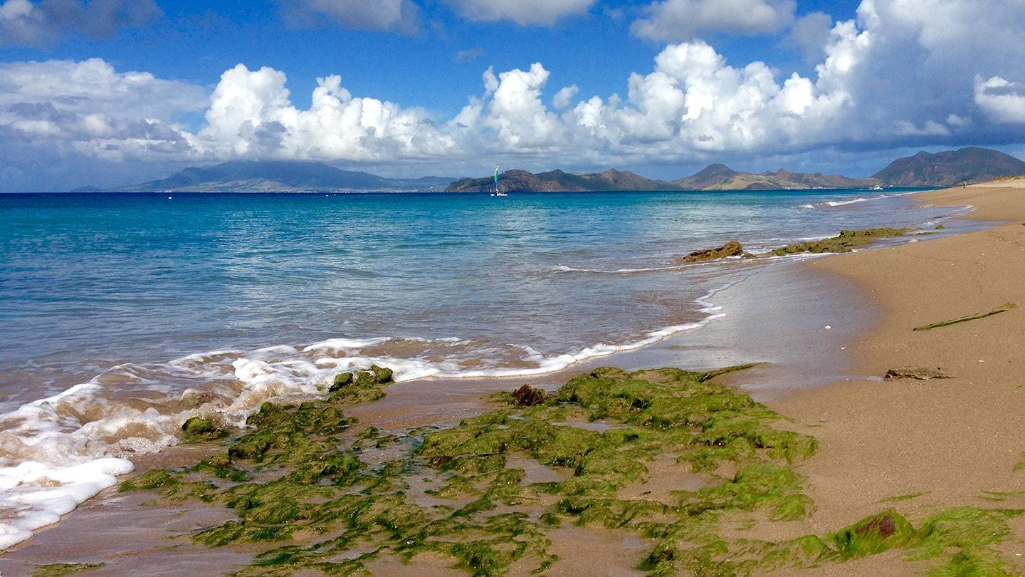 Guide To Nevis - Pinneys Beach