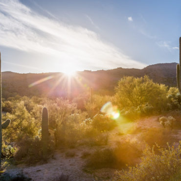 chris-chabot-cc-flickr-arizona