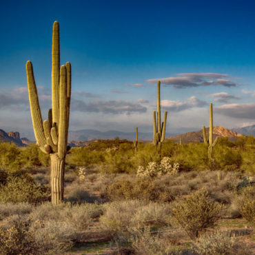 diana-robinson-cc-flickr-superstition-mountains-arizona