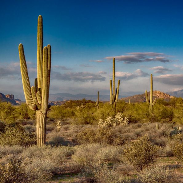 diana-robinson-cc-flickr-superstition-mountains-arizona