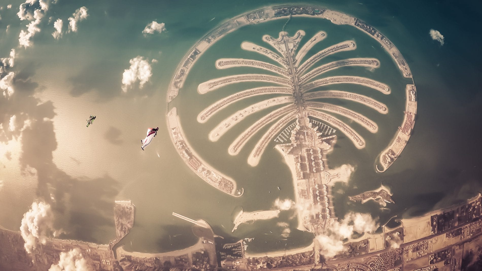 Richard Schneider - wingsuit palm