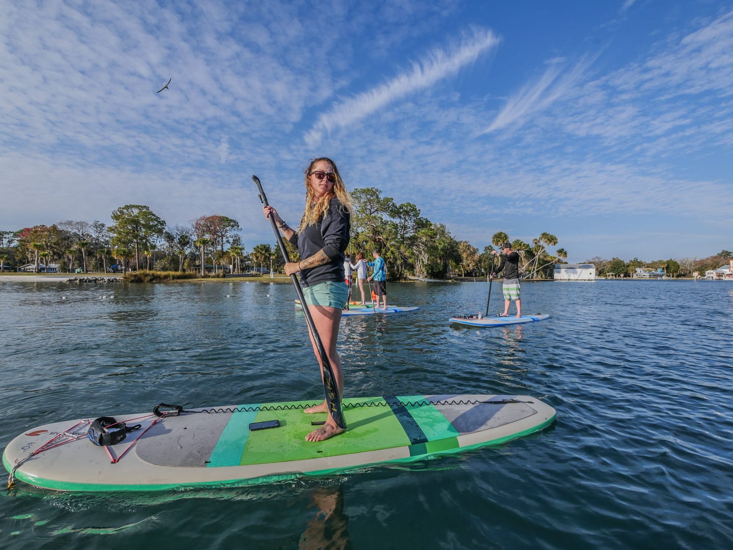 best manatee swim tours