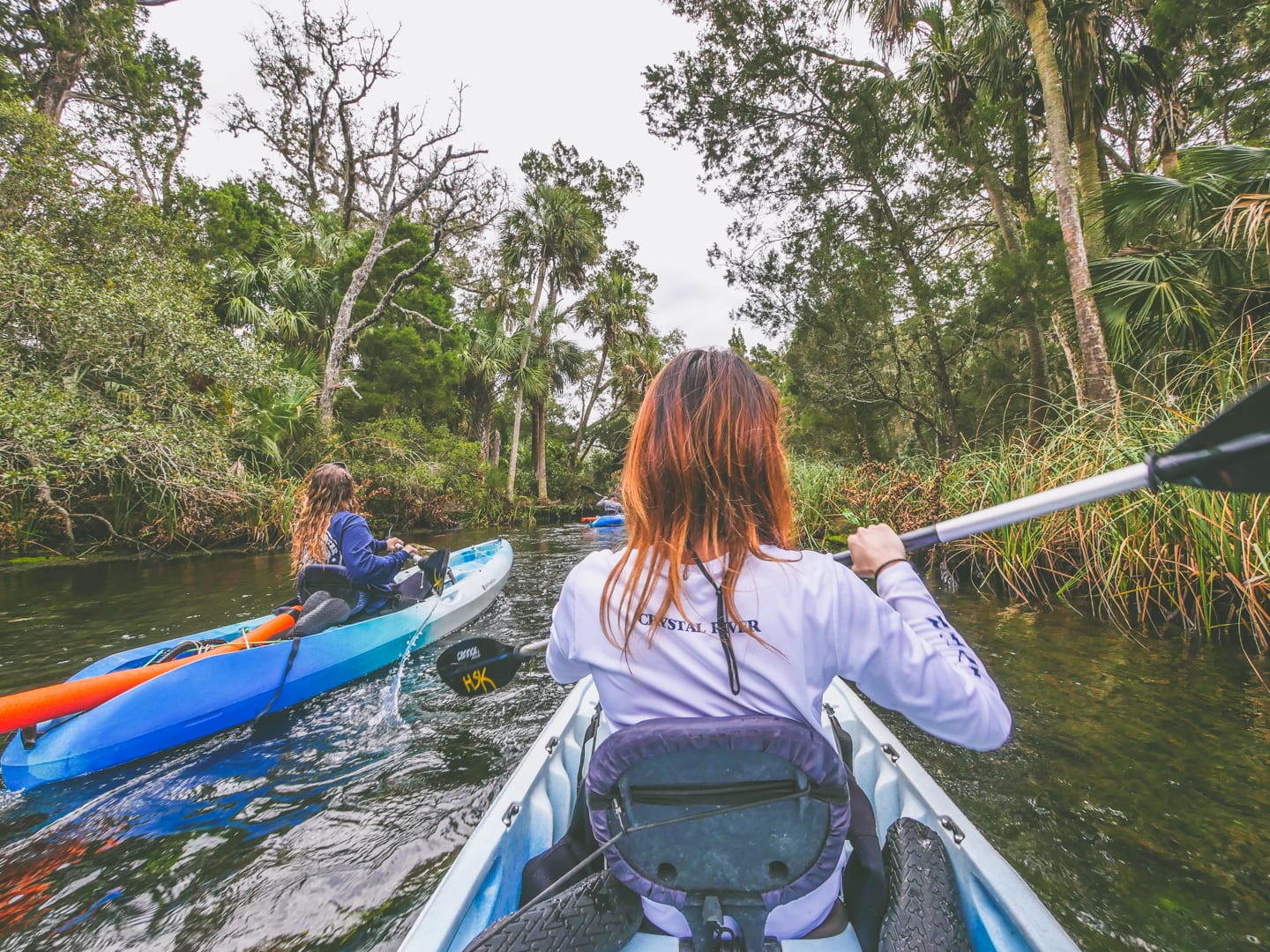 crystal river manatee trip