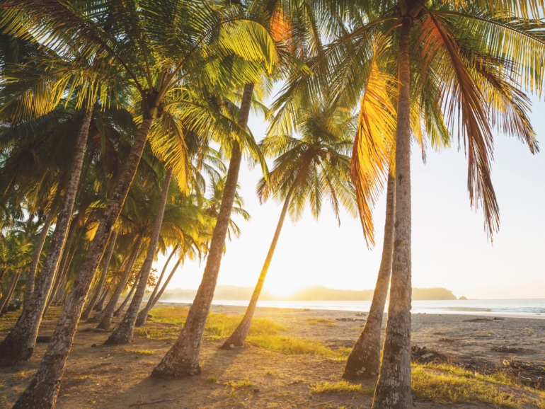 Jamaica's Must-Visit Festivals For Cultural Immersion