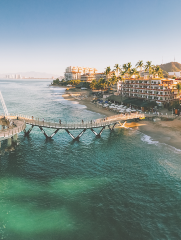 Bird Watching in Puerto Vallarta