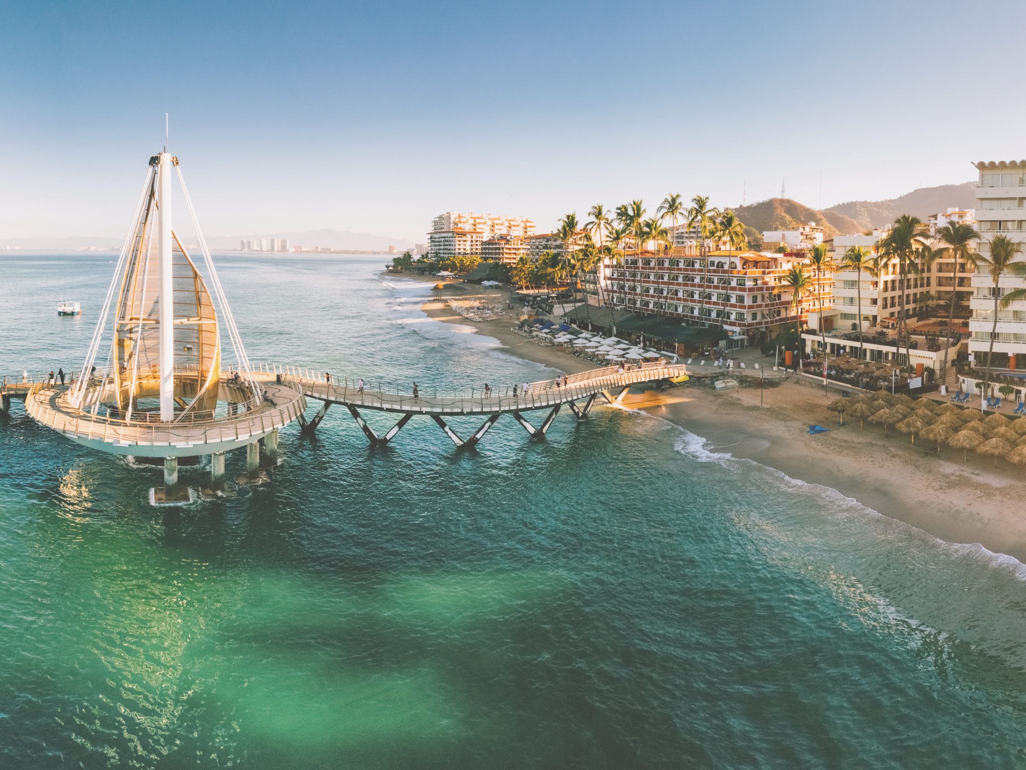 Bird Watching in Puerto Vallarta